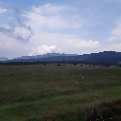 Loma Alta
