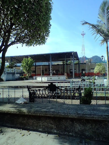 Nanacatlán