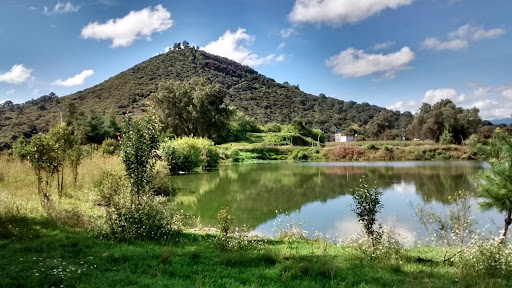 San Buenaventura Tecaltzingo