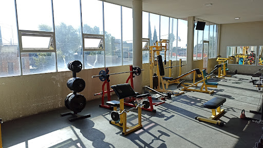 GYM LEGACY