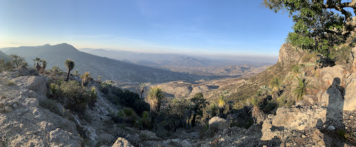 Santa Ana Teloxtoc
