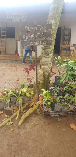 Centro De Salud Tzicuilan