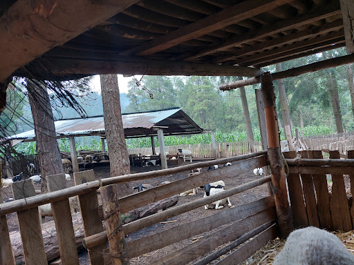 Rancho los reyes