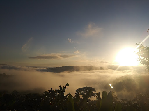 Tlamaya Grande