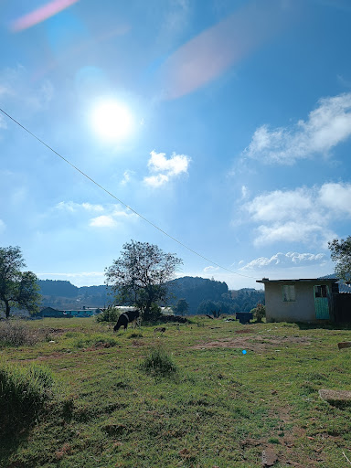 Tonalixco