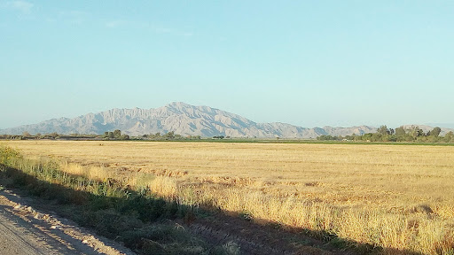 Ejido Durango