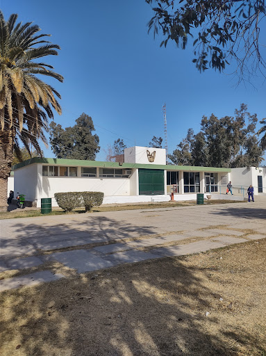 UMF No.5 Clínica IMSS