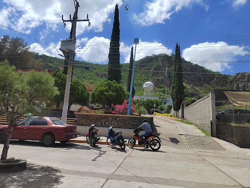 IMMS Abasolo