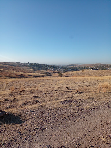 Capulín de Bustos