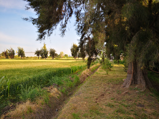 Cerro Gordo