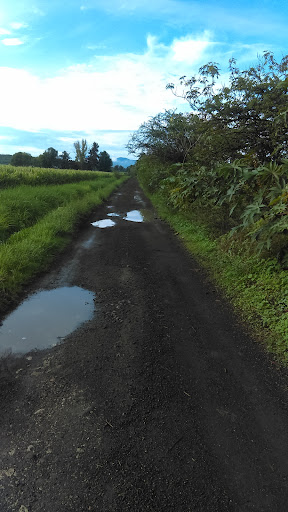 Charco De Pantoja-Umaps