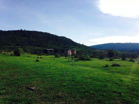 Cerécuaro Guanajuato Mexico