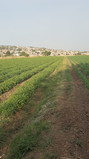 El Sabino
