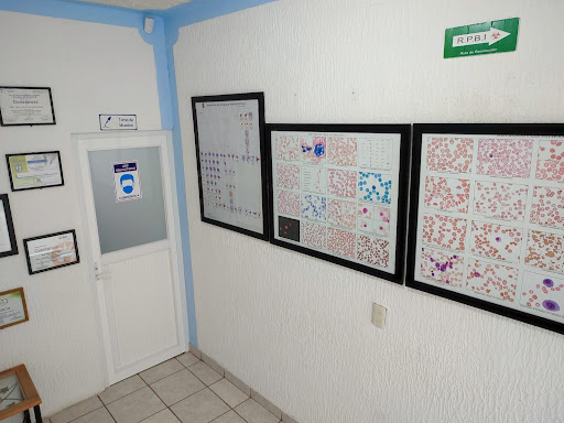 LABORATORIO DE ANÁLISIS CLÍNICOS "ICE"