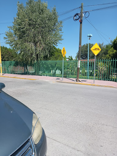Instituto Mexicano del Seguro Social