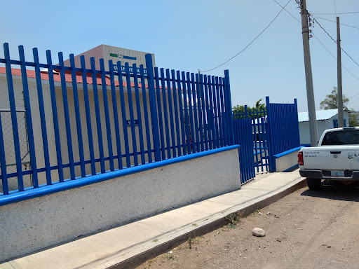 UMAPS Yerbabuena