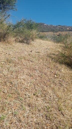 Loma de Yerbabuena