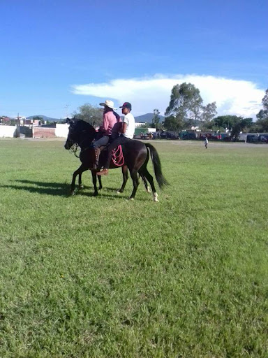 Loma Tendida