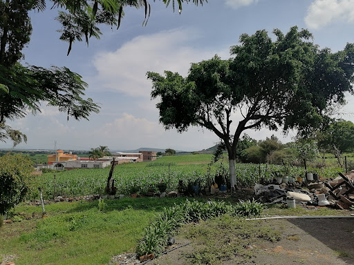 Los Ocotes