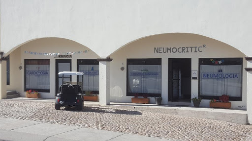 neumocritic