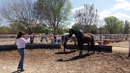 Obrajuelo