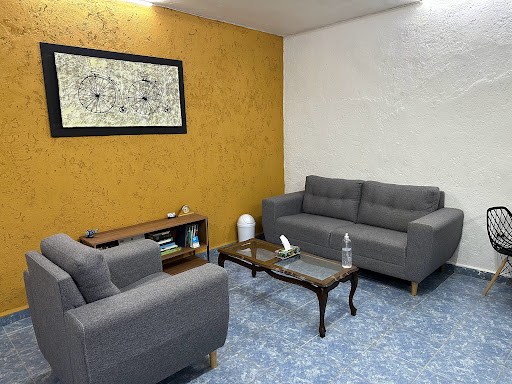 RENOVA PSICOLOGÍA Y SALUD MENTAL OCAMPO GUANAJUATO