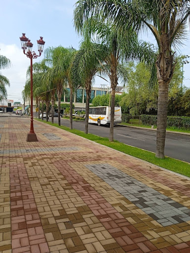 UMAPS nuevo de pueblo nuevo