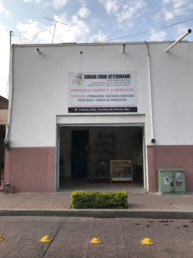 Consultorio veterinario purisima