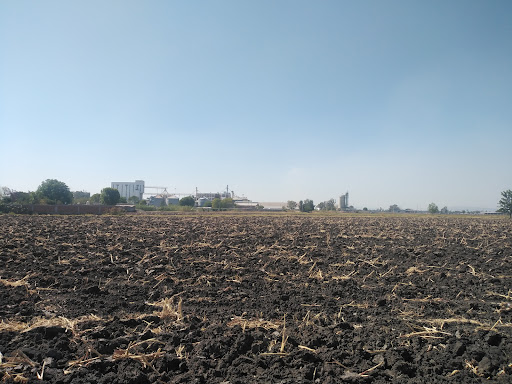 San Vicente De Flores