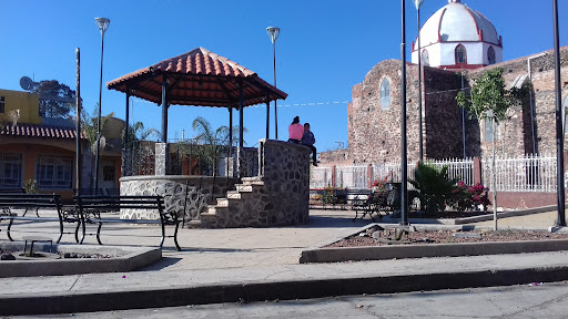 Tejocote de Calera