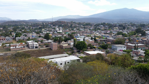 Urireo
