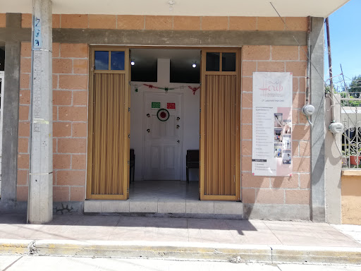 Horeb Fisioterapia