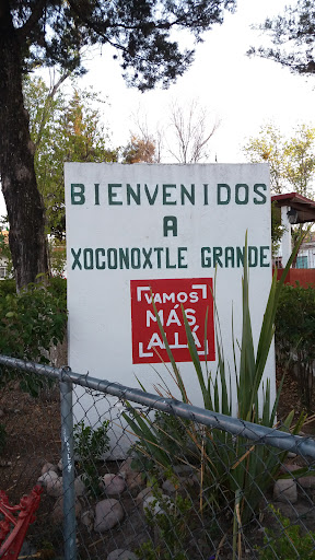 Xoconoxtle el Grande