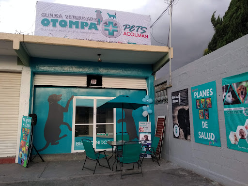 CLINICA VETERINARIA OTOMPAPETS ACOLMAN