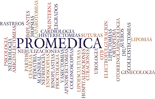 PROMEDICA PLEITSIN GROUP