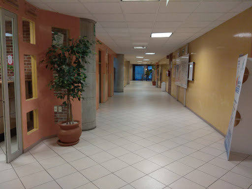 Centro Médico Toluca. Servicios Especializados.