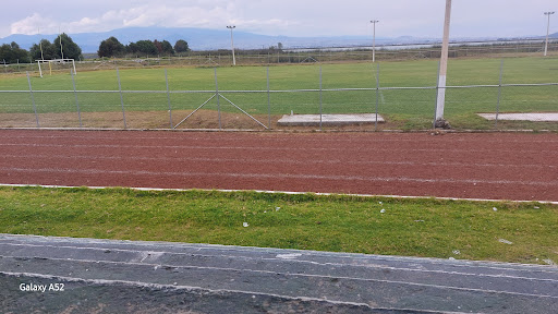 Unidad Deportiva Almoloya Del Río