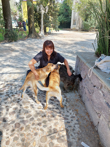 Clínica veterinaria