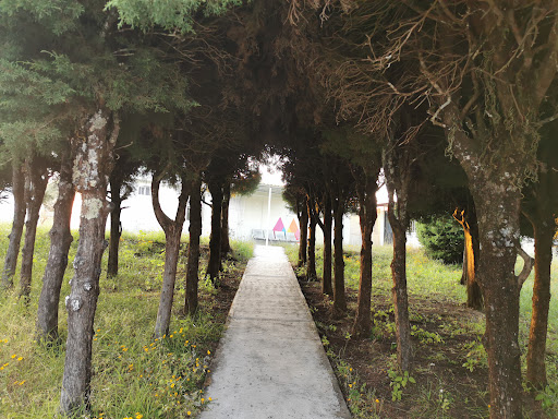 IMSS Bienestar - Centro de Salud Puentecillas